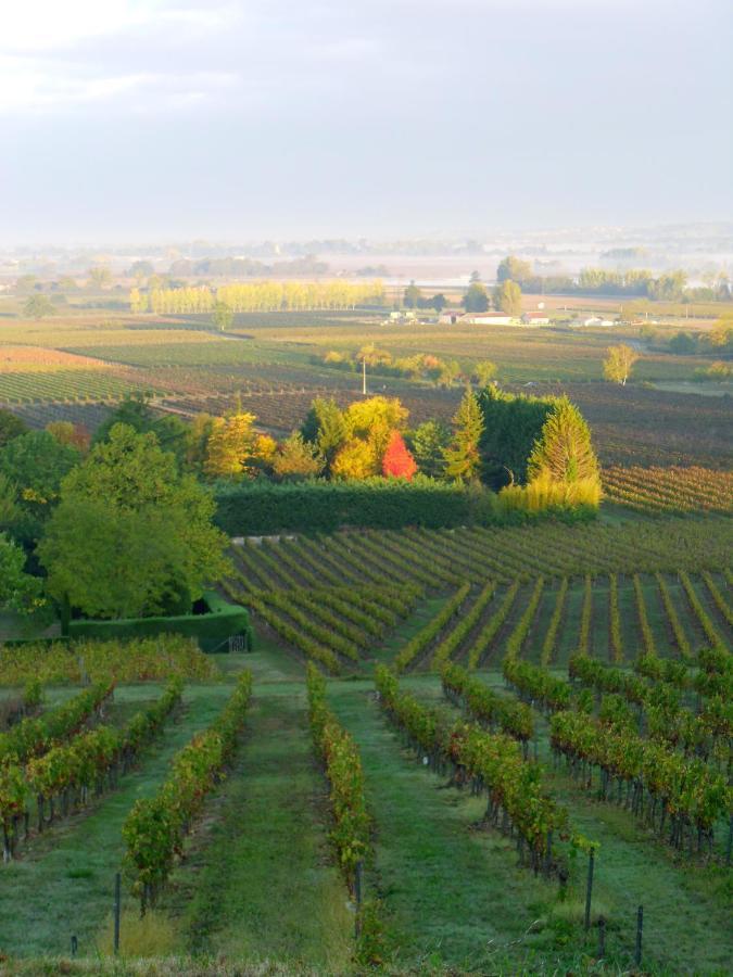 Romantic Gite Nr St Emilion With Private Pool And Views To Die For Pujols  Exterior photo