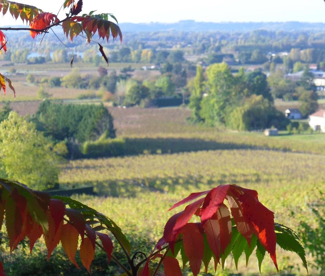 Romantic Gite Nr St Emilion With Private Pool And Views To Die For Pujols  Exterior photo
