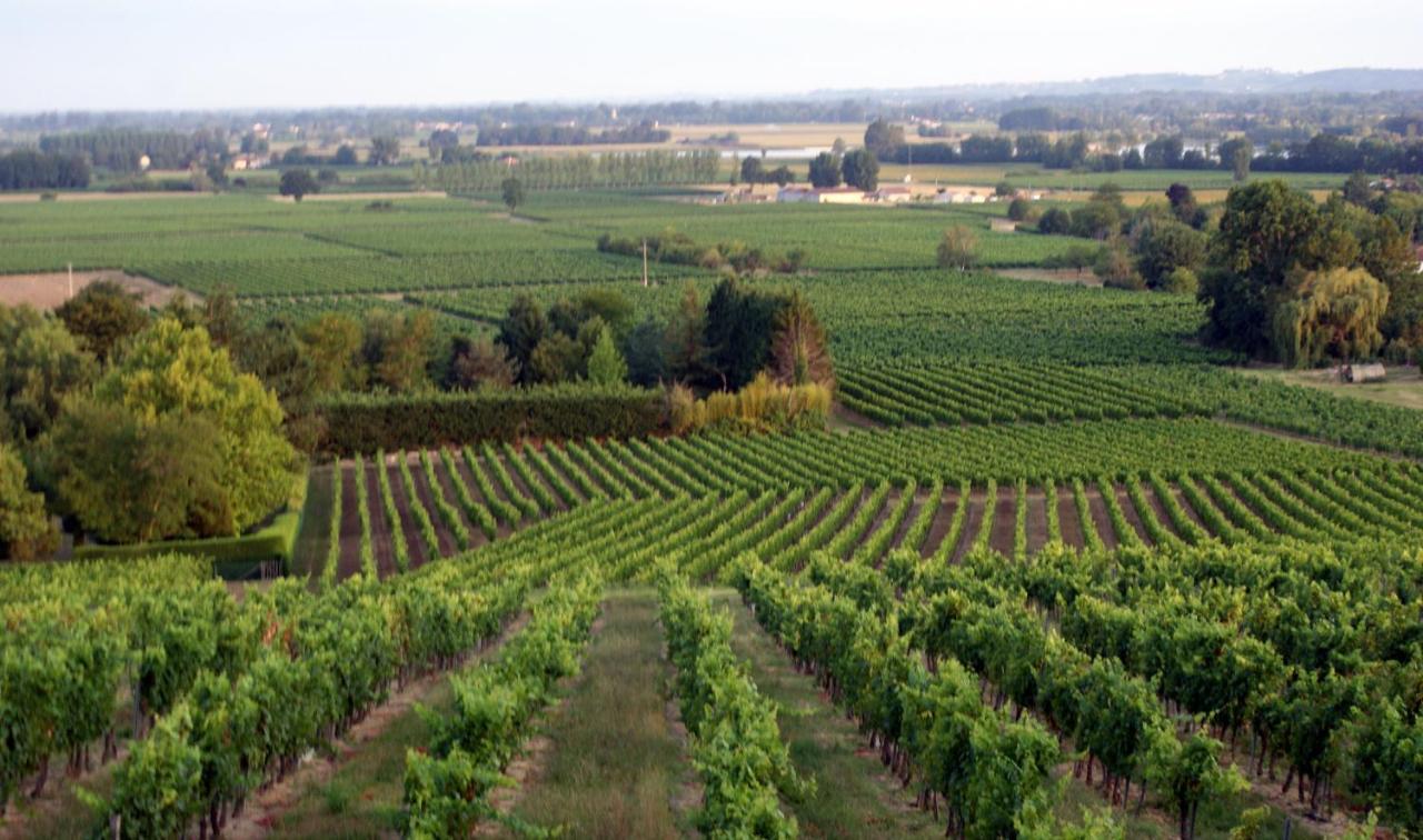 Romantic Gite Nr St Emilion With Private Pool And Views To Die For Pujols  Exterior photo